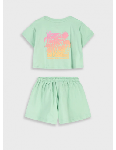 CAMISETA+SHORT DELFIN VERDE AGUA