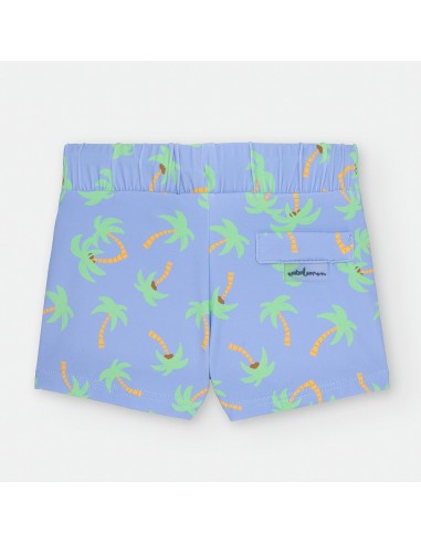 BOXER PALMERAS
