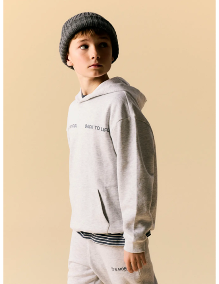 SUDADERA GRIS CAPUCHA