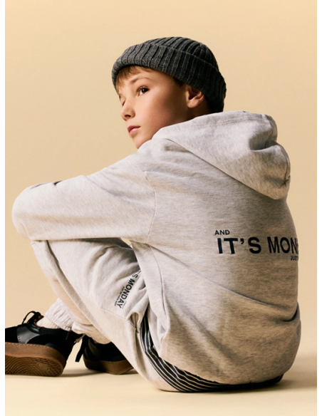 SUDADERA GRIS CAPUCHA