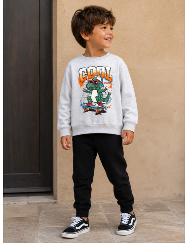 SUDADERA DINOSAURIO COOL