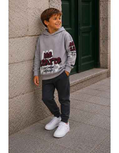 SUDADERA GRIS+JOGGER BOLSILLOS GRIS 