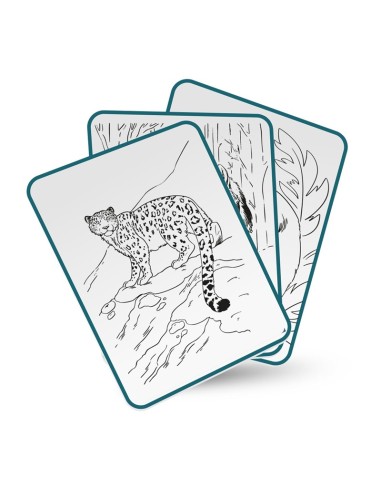 KIDYDRAW ANIMALES