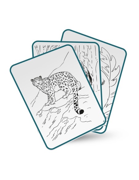 KIDYDRAW ANIMALES
