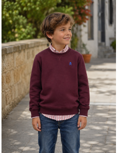 CAMISA RAYAS BURDEOS 2