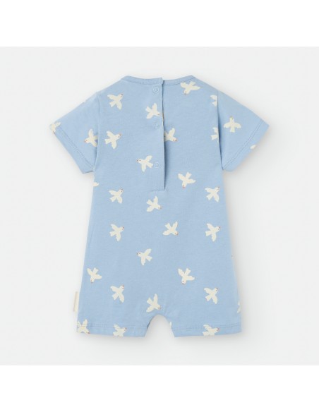 PELELE PALOMAS CELESTE